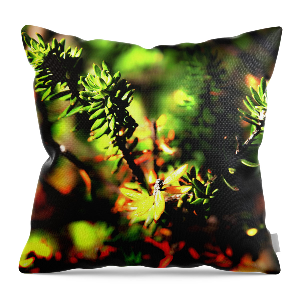 Westringia Fruticosa Throw Pillow featuring the photograph When Yellow Leaves Are Falling by Miroslava Jurcik