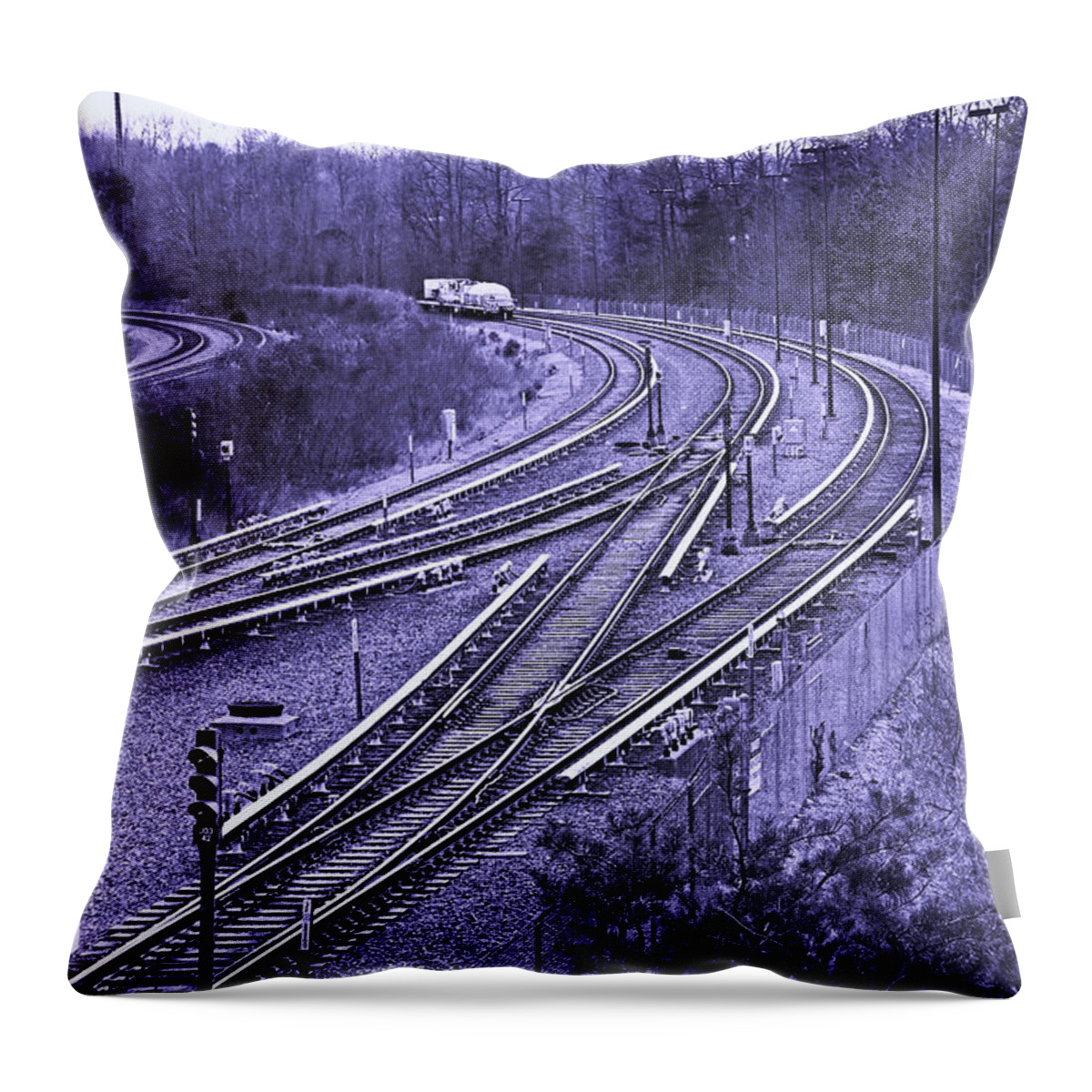 Railroad Throw Pillow featuring the photograph Where Are You Going To? by Iryna Goodall