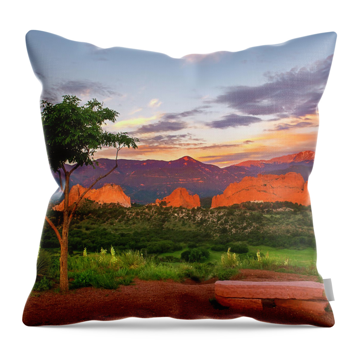 Colorado Throw Pillow featuring the photograph Where Beauty Overwhelms by Tim Reaves