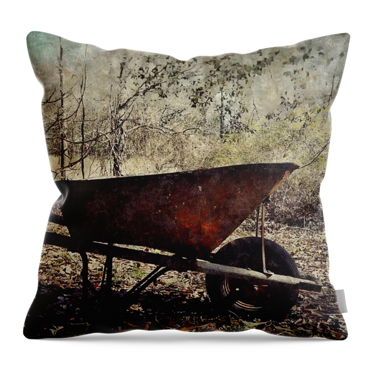 Left Throw Pillow featuring the photograph Where He Left It by Southern Tradition