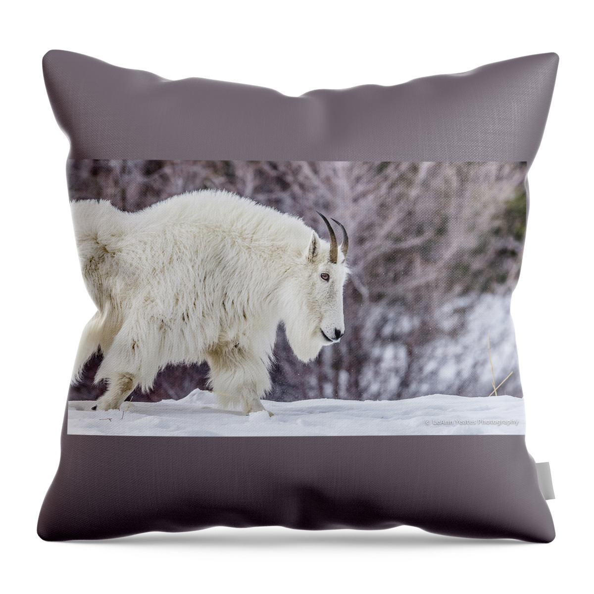 Mountain Throw Pillow featuring the photograph Where Mountain Goats Walk by Yeates Photography