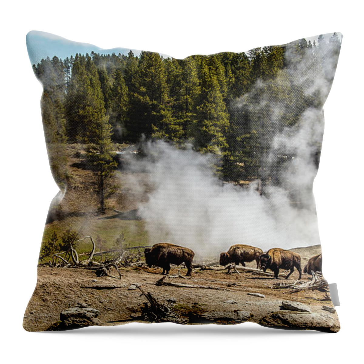 Bison Throw Pillow featuring the photograph Where The Bison Roam by Yeates Photography
