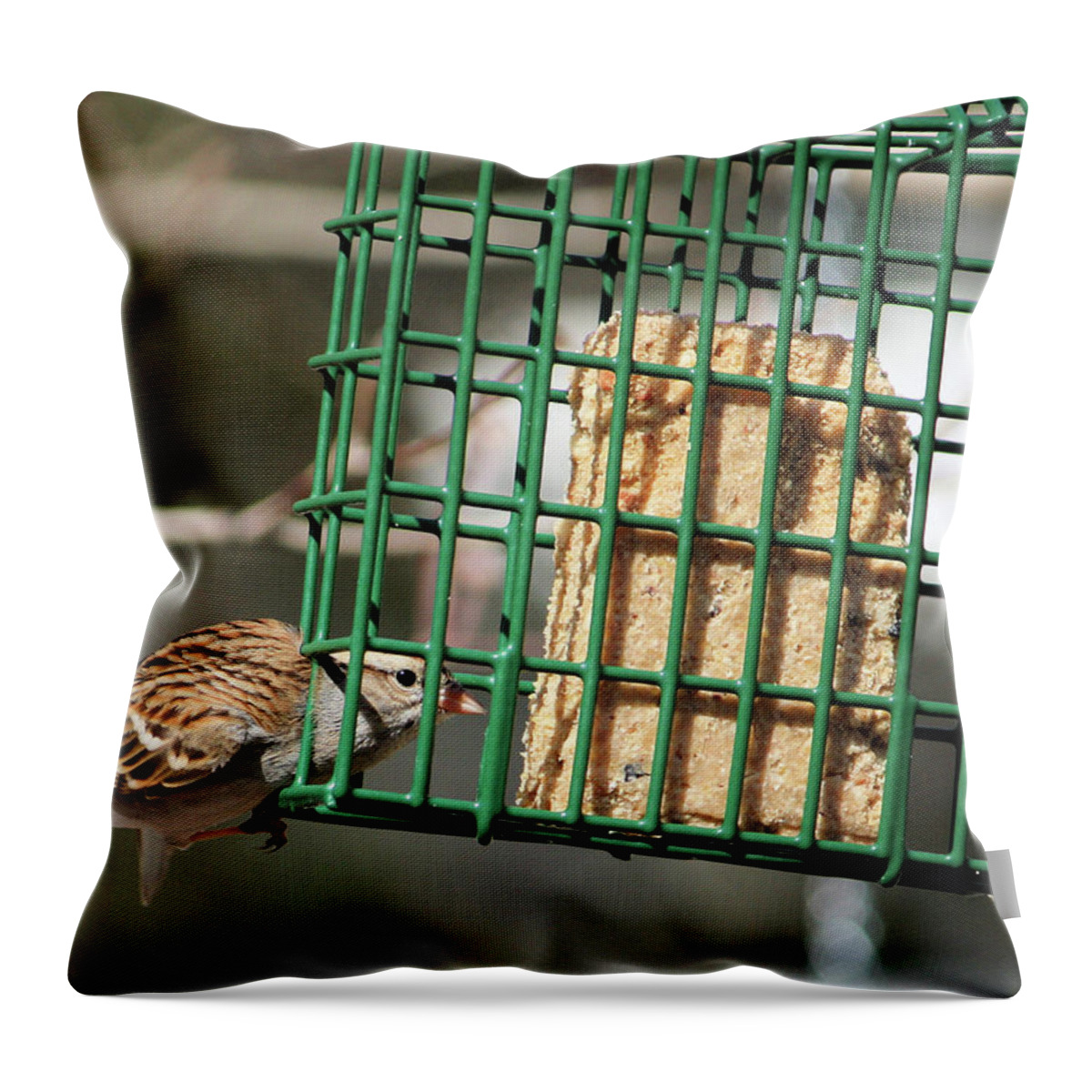 Sparrow Throw Pillow featuring the photograph Where There's A Will by Cathy Harper