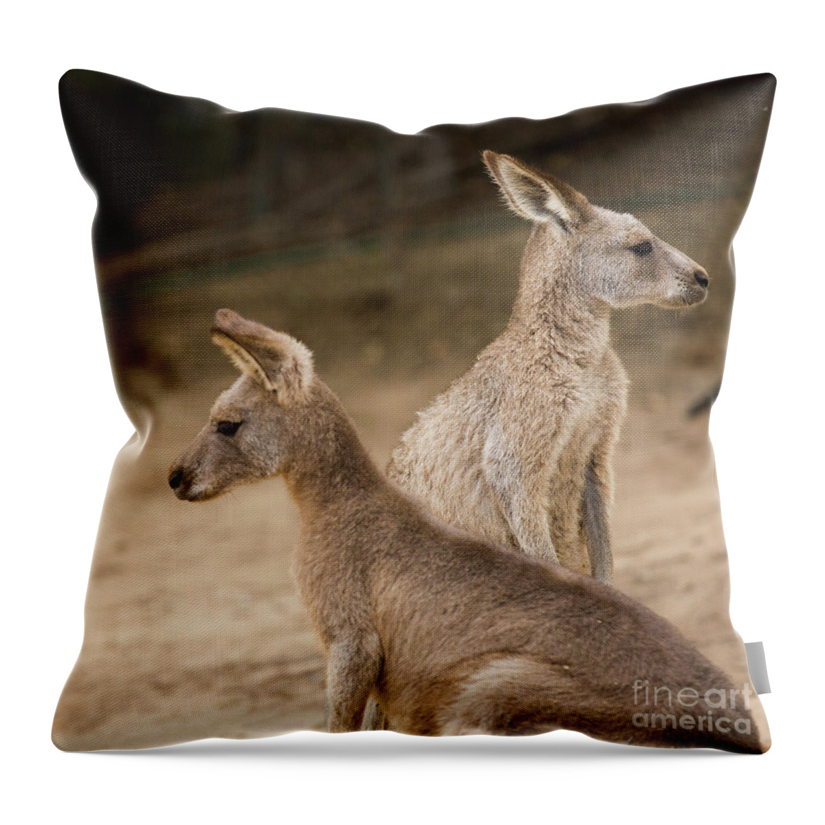 Australia Throw Pillow featuring the photograph Which way shall we go? by Agnes Caruso