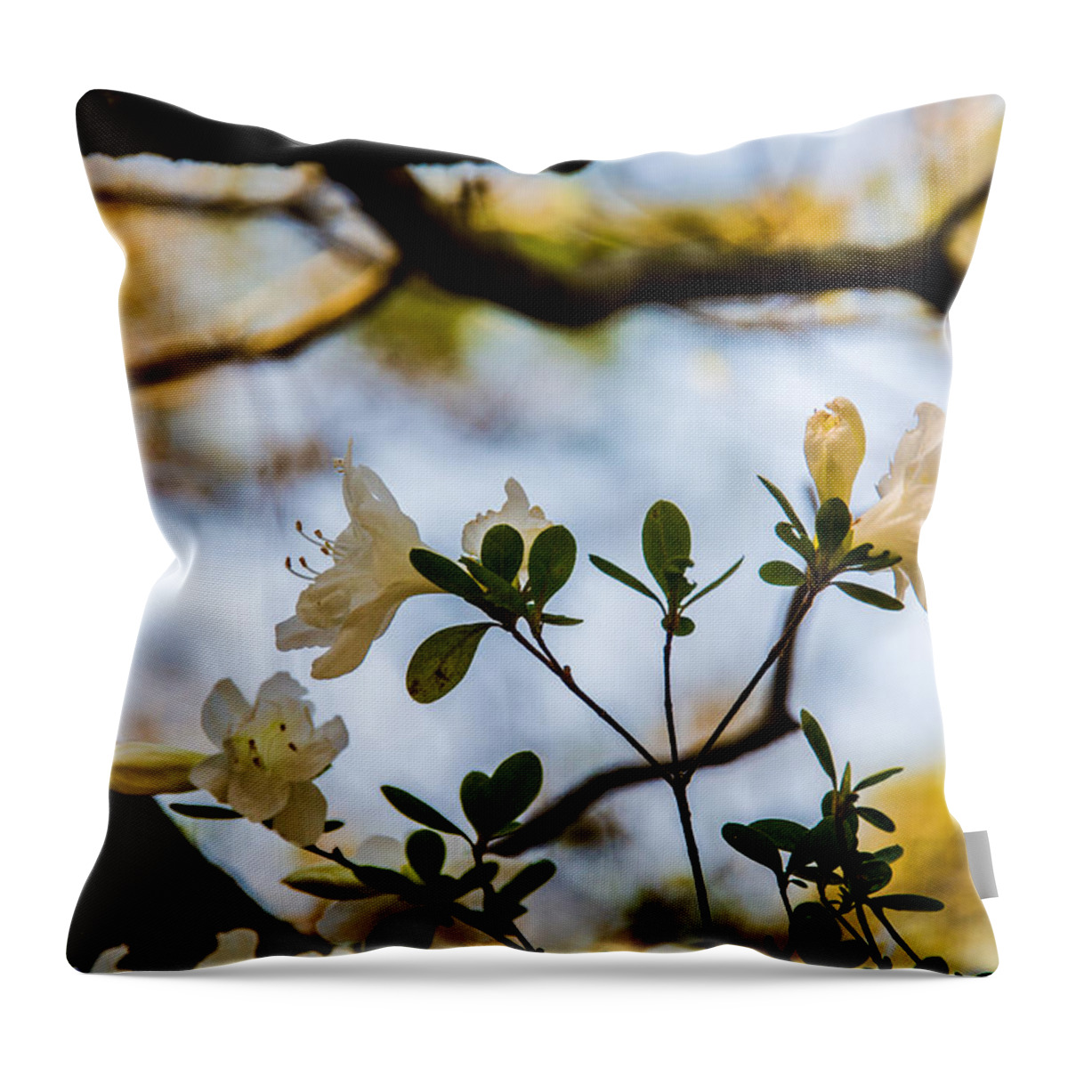 Whie Azaleas Under A Dogwood Tree Framed Prints Throw Pillow featuring the photograph White Azaleas Under a Dogwood Tree by John Harding