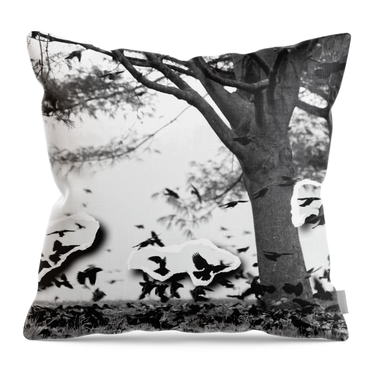 Surrealist Migrating Birds Throw Pillow featuring the photograph While I Pondered by Susan Maxwell Schmidt