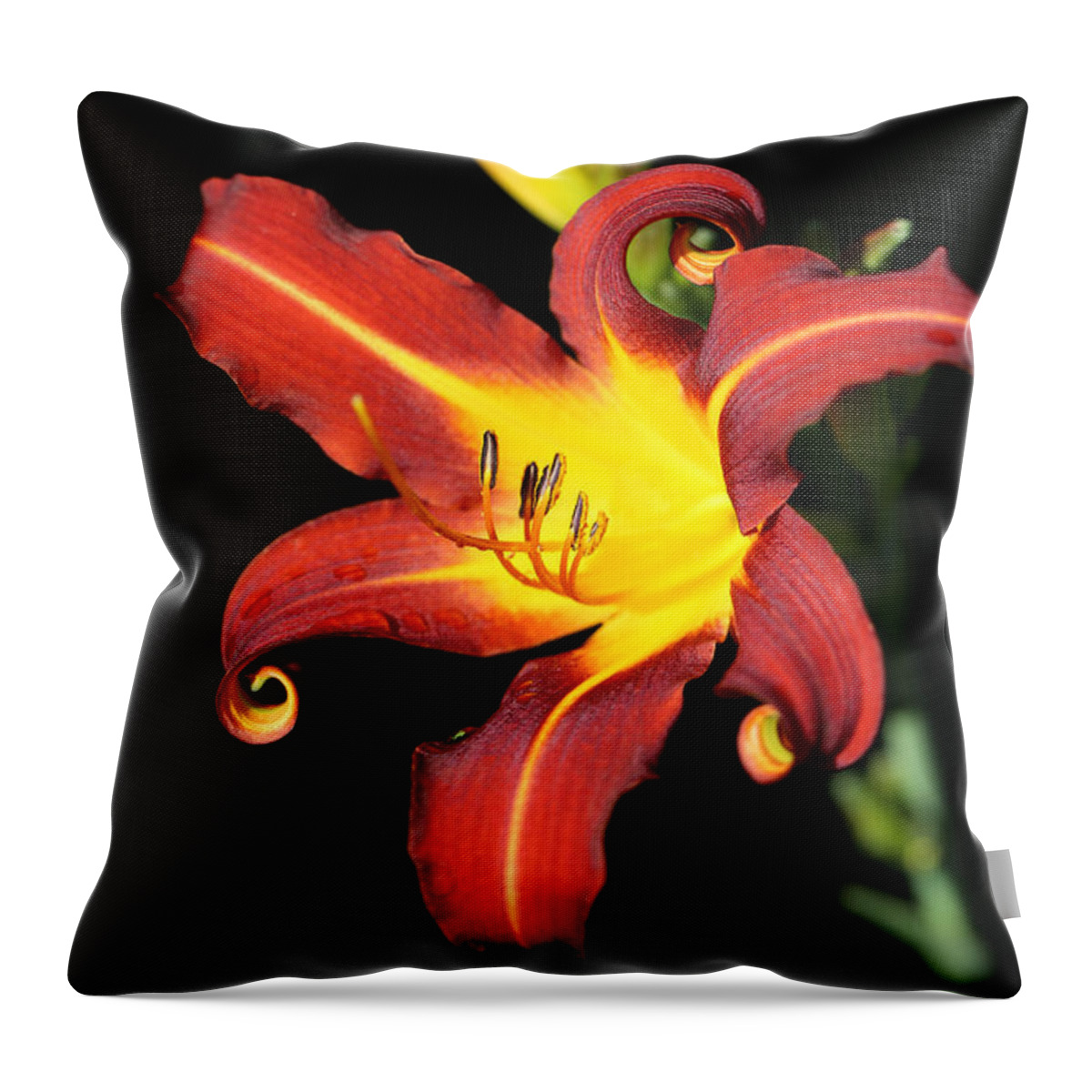 Daylily Curl Throw Pillow featuring the photograph Whimsical Daylily by Tammy Pool