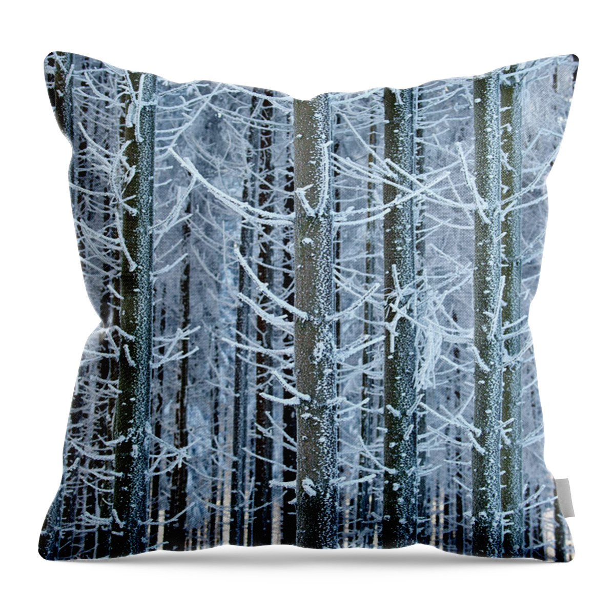 Tree Throw Pillow featuring the photograph Whimsical Winters by Roeselien Raimond
