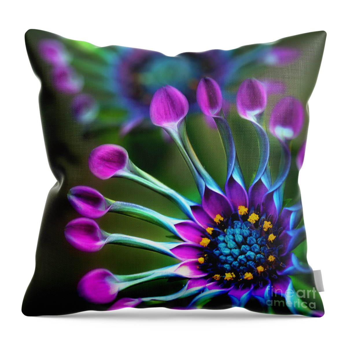 Kaleidoscope Throw Pillow featuring the photograph Whirligig by Judi Bagwell