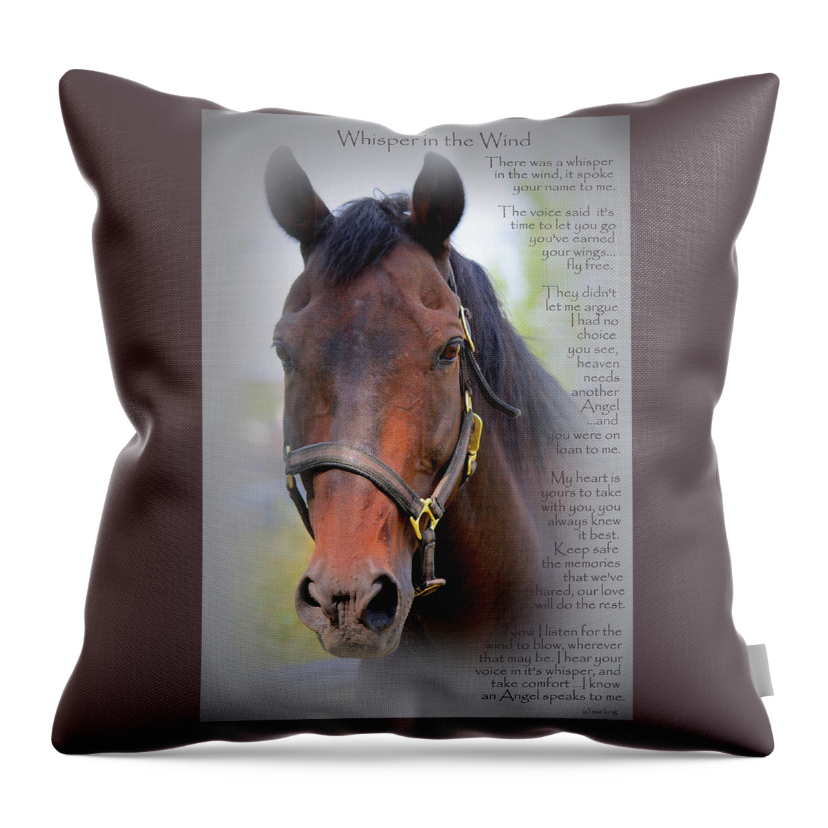 Horses Throw Pillow featuring the photograph Whisper In The Wind Hoofprint by Sue Long