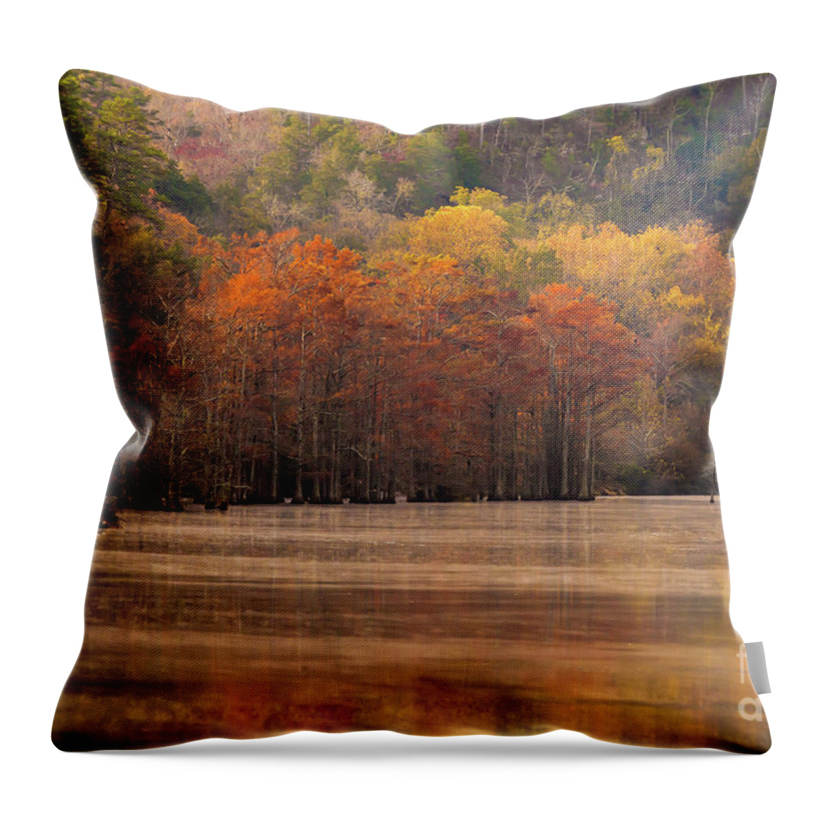Trees Throw Pillow featuring the photograph Whispering Mist by Iris Greenwell