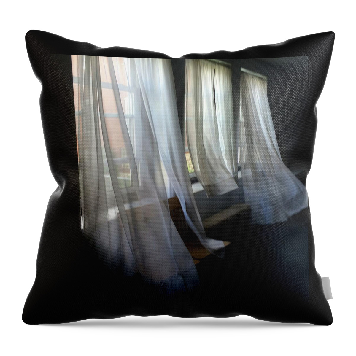 Wind Throw Pillow featuring the photograph Whispers In The Wind by Joyce Wasser