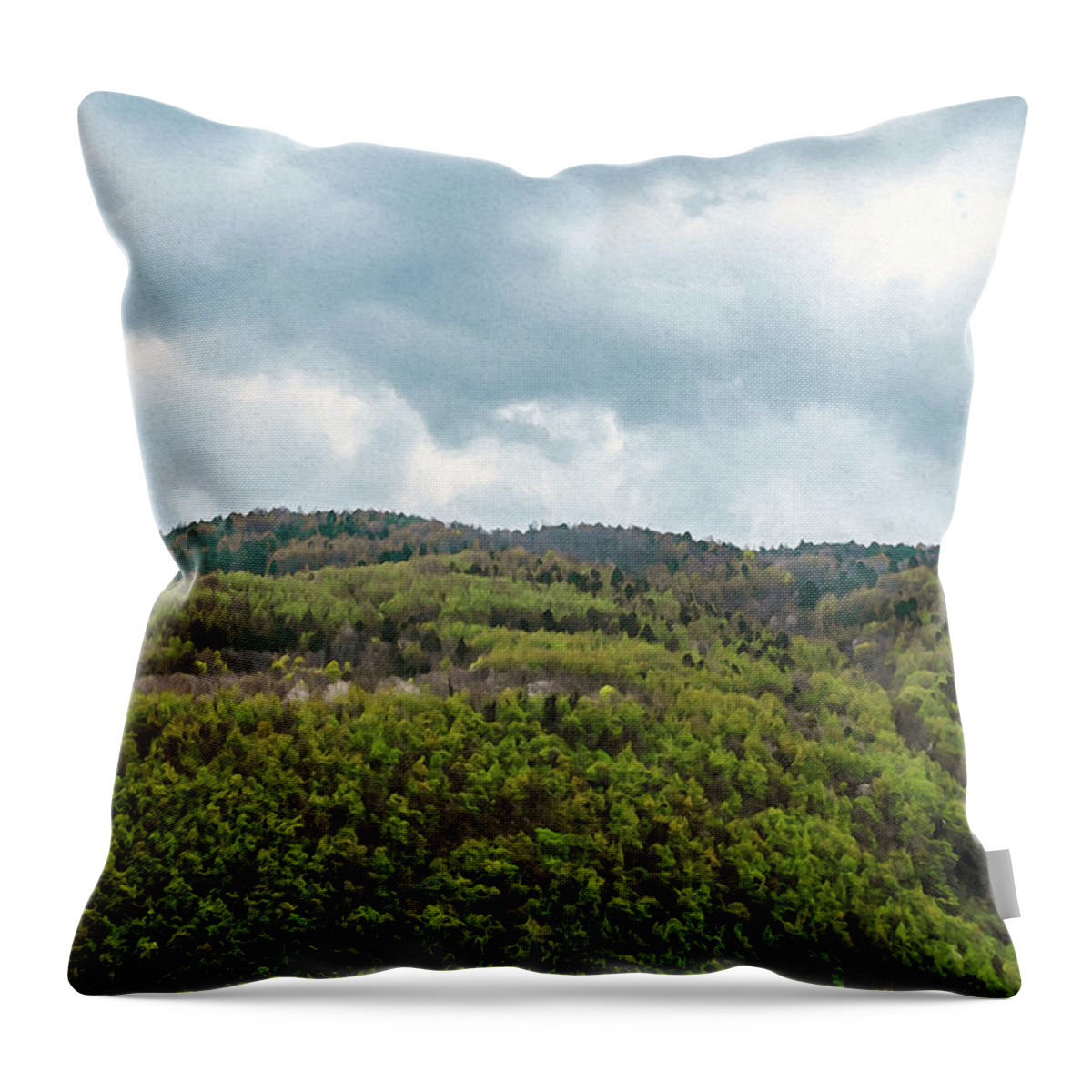Panorama Throw Pillow featuring the photograph Whispers of Nature - 07 by AM FineArtPrints