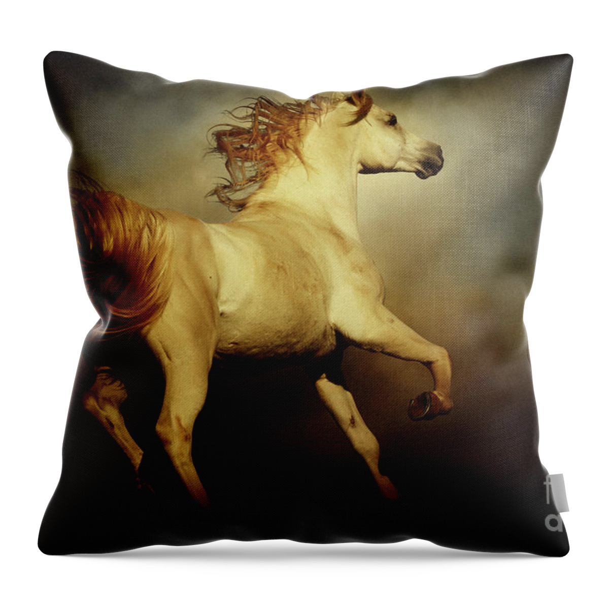 Horse Throw Pillow featuring the photograph White arabian horse with long beautiful mane by Dimitar Hristov