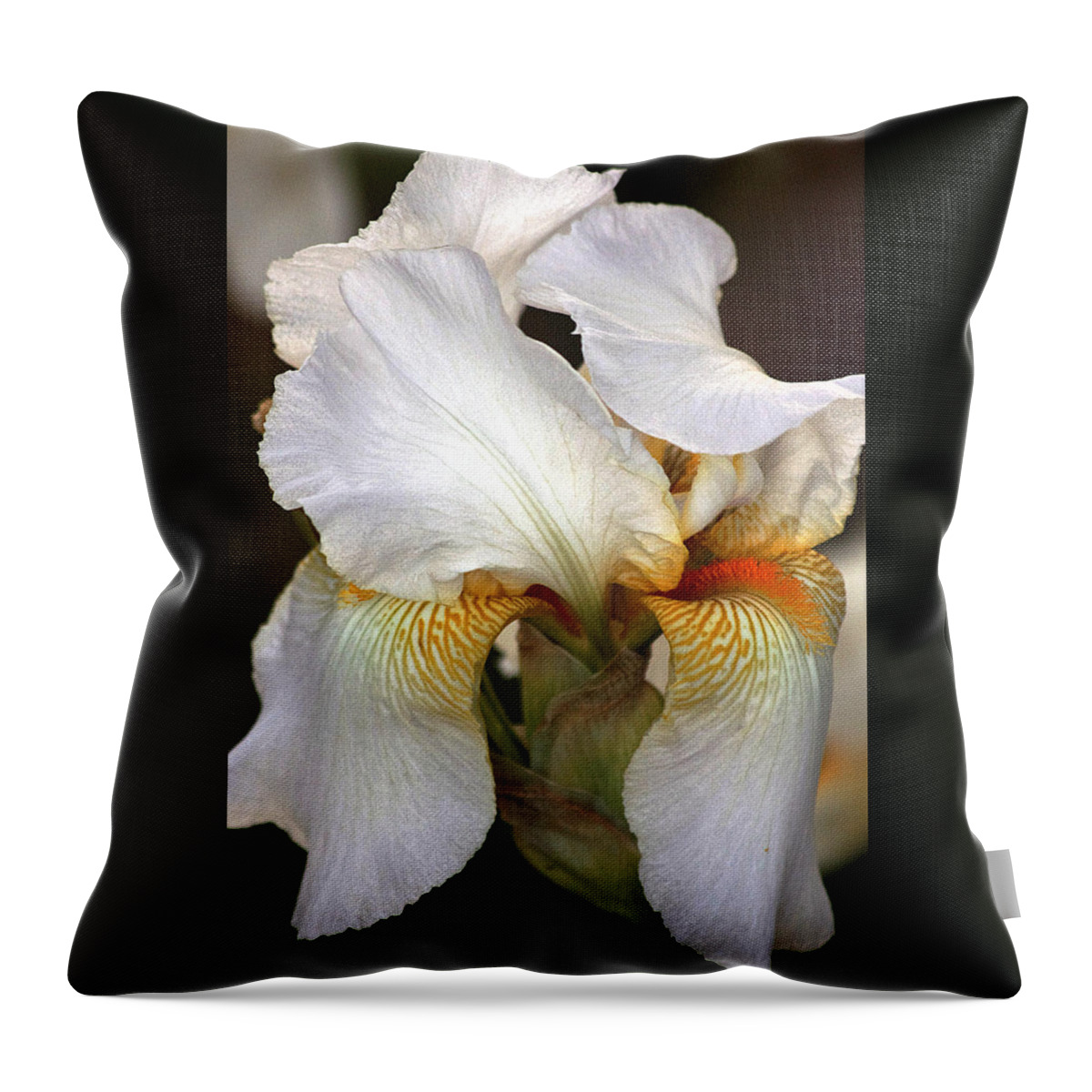 Nature Throw Pillow featuring the photograph White Bearded Iris by Sheila Brown