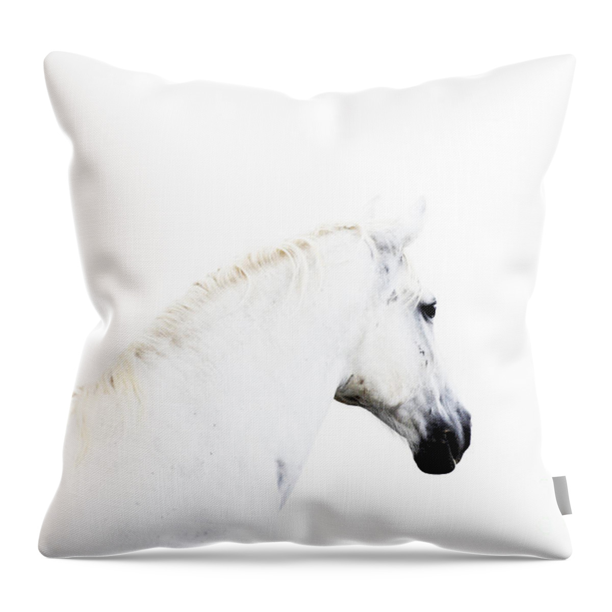 Lipica Stud Throw Pillow featuring the photograph White Beauty of Lipica by Carien Schippers
