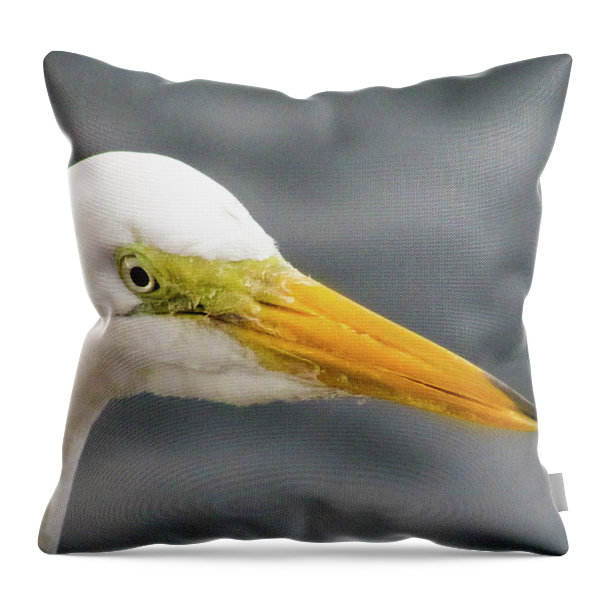 White Throw Pillow featuring the photograph White Bird by Cesar Vieira