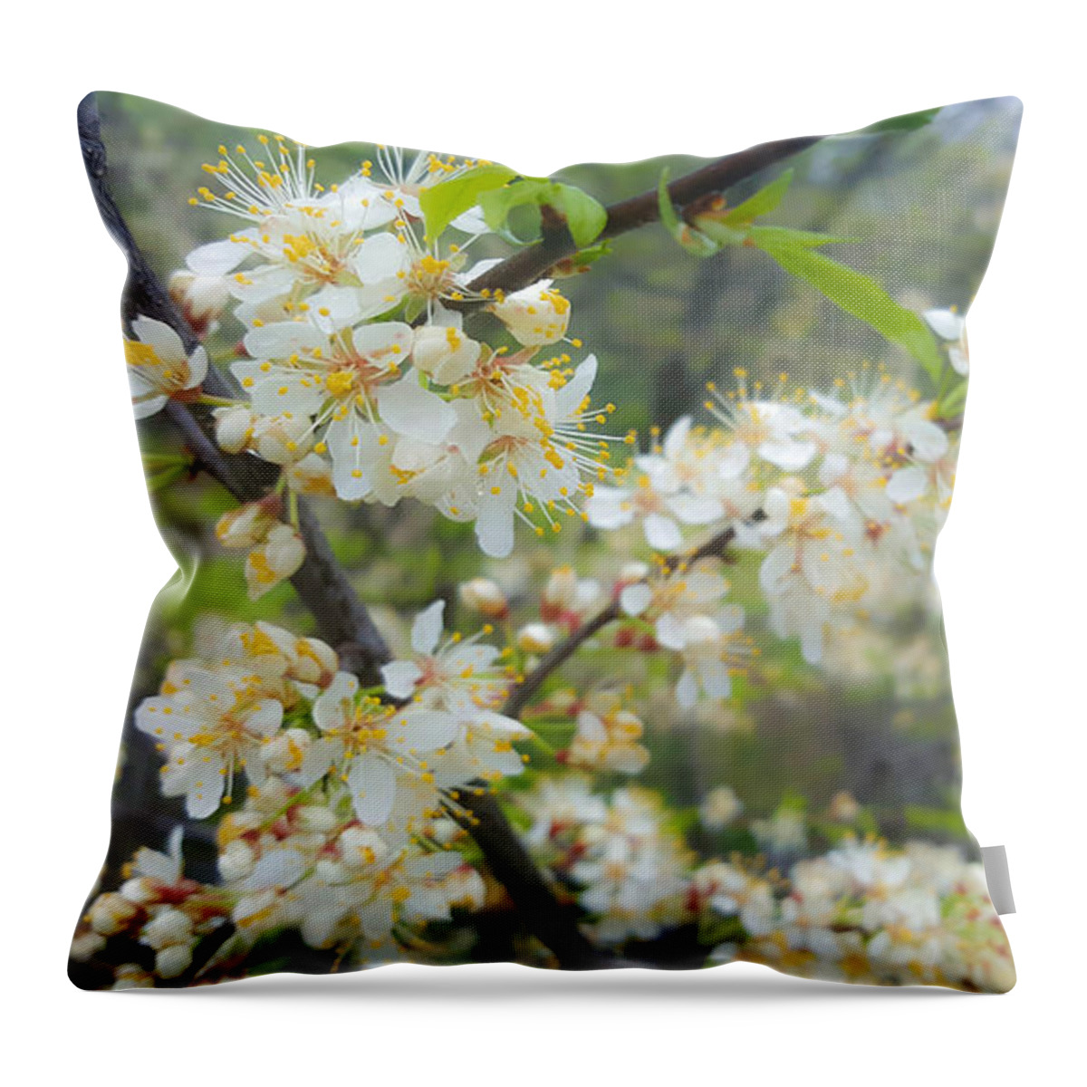 Flowers Throw Pillow featuring the photograph White Blossoms on Fruit Tree by Lynn Hansen
