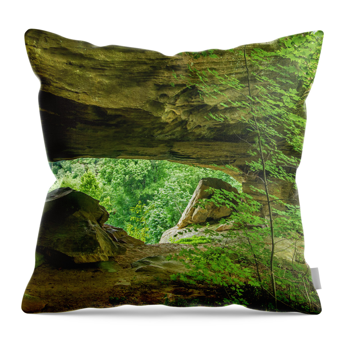 Mill Creek Lake Throw Pillow featuring the photograph White Branch Arch by Ulrich Burkhalter