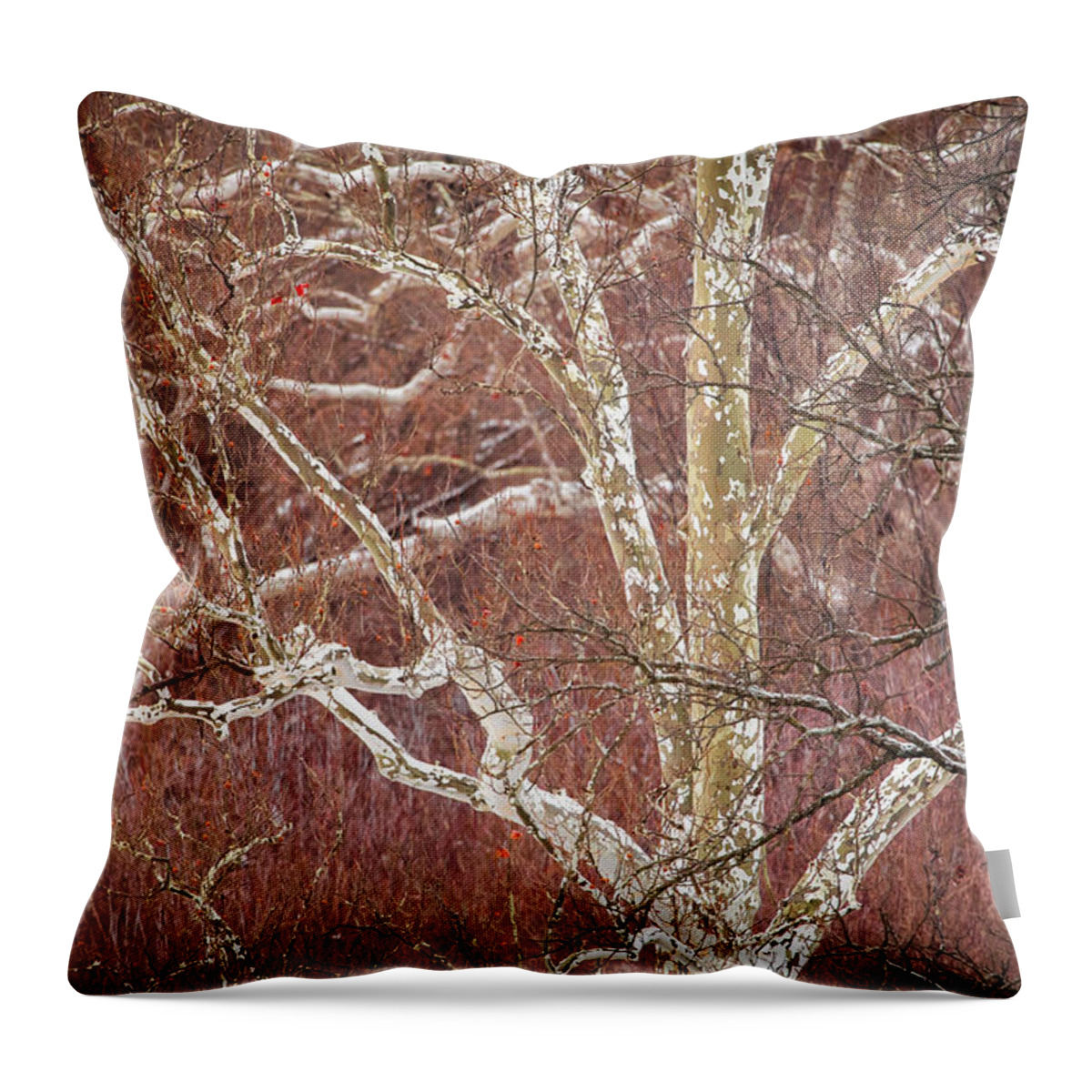 Nature Throw Pillow featuring the photograph White Branches by Jeff Phillippi