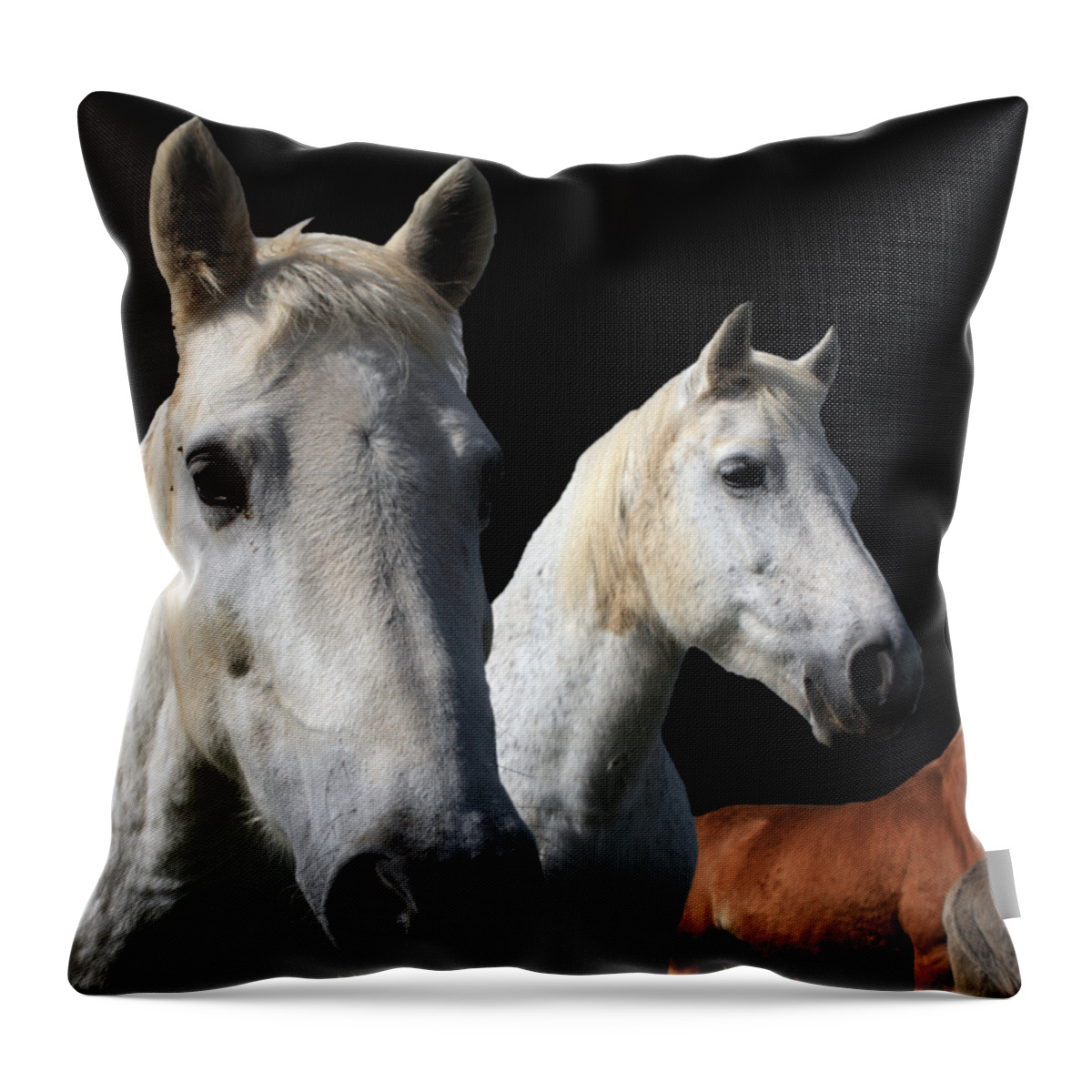 Horses Throw Pillow featuring the photograph White Camargue Horses On Black Background by Aidan Moran