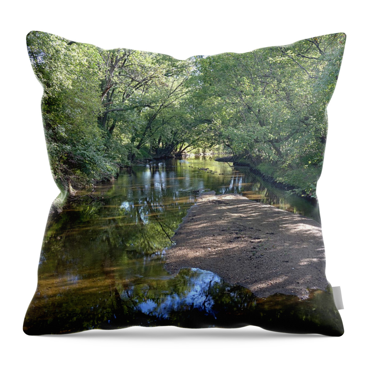 De Throw Pillow featuring the photograph White Clay Creek, Newark #01829 by Raymond Magnani