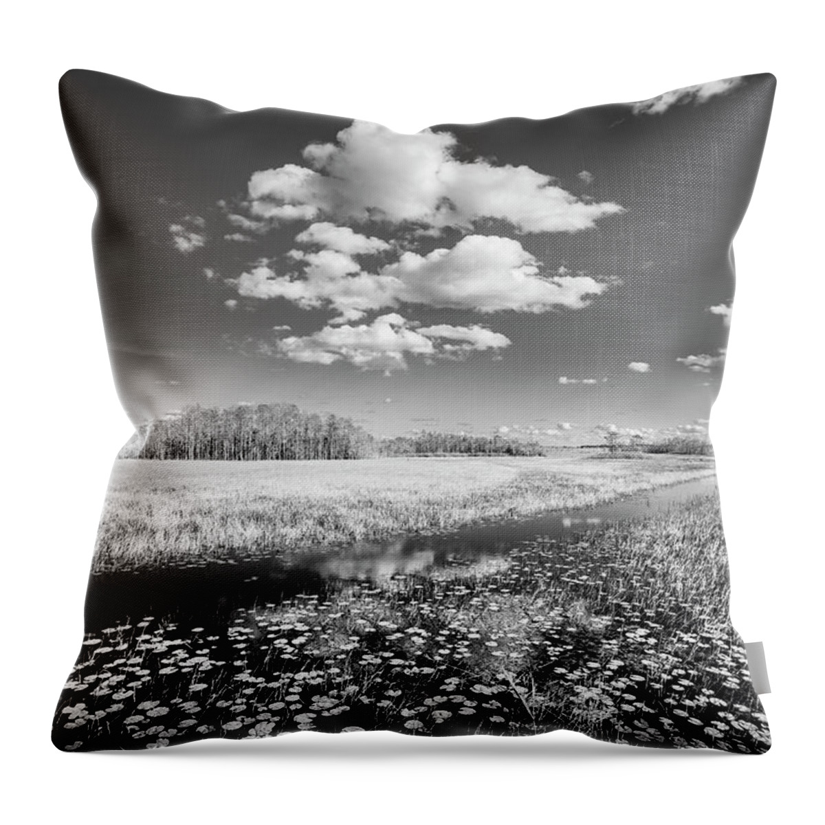Clouds Throw Pillow featuring the photograph White Clouds over the Marsh in Black and White by Debra and Dave Vanderlaan