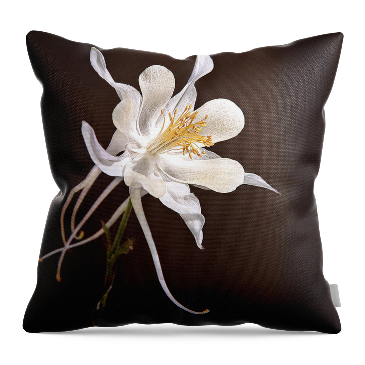 Columbine Throw Pillow featuring the photograph White Columbine by James Steele