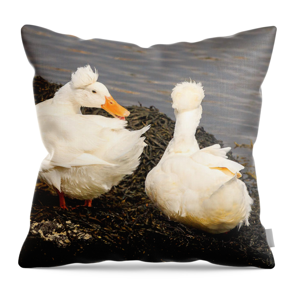 Crested White Duck Throw Pillow featuring the photograph White Crested Duck by Joni Eskridge