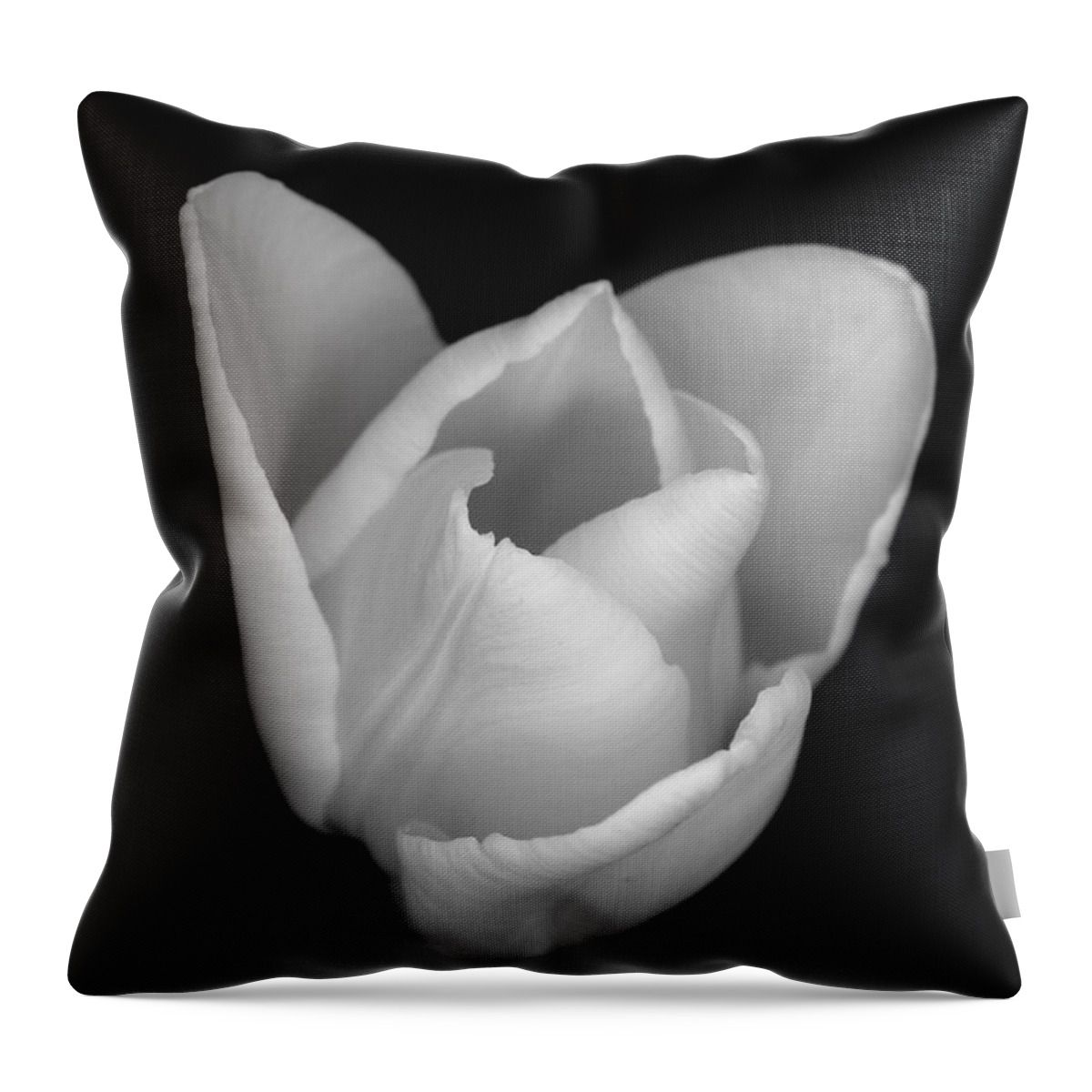 Flower Throw Pillow featuring the photograph White Crown by Thomas Pipia
