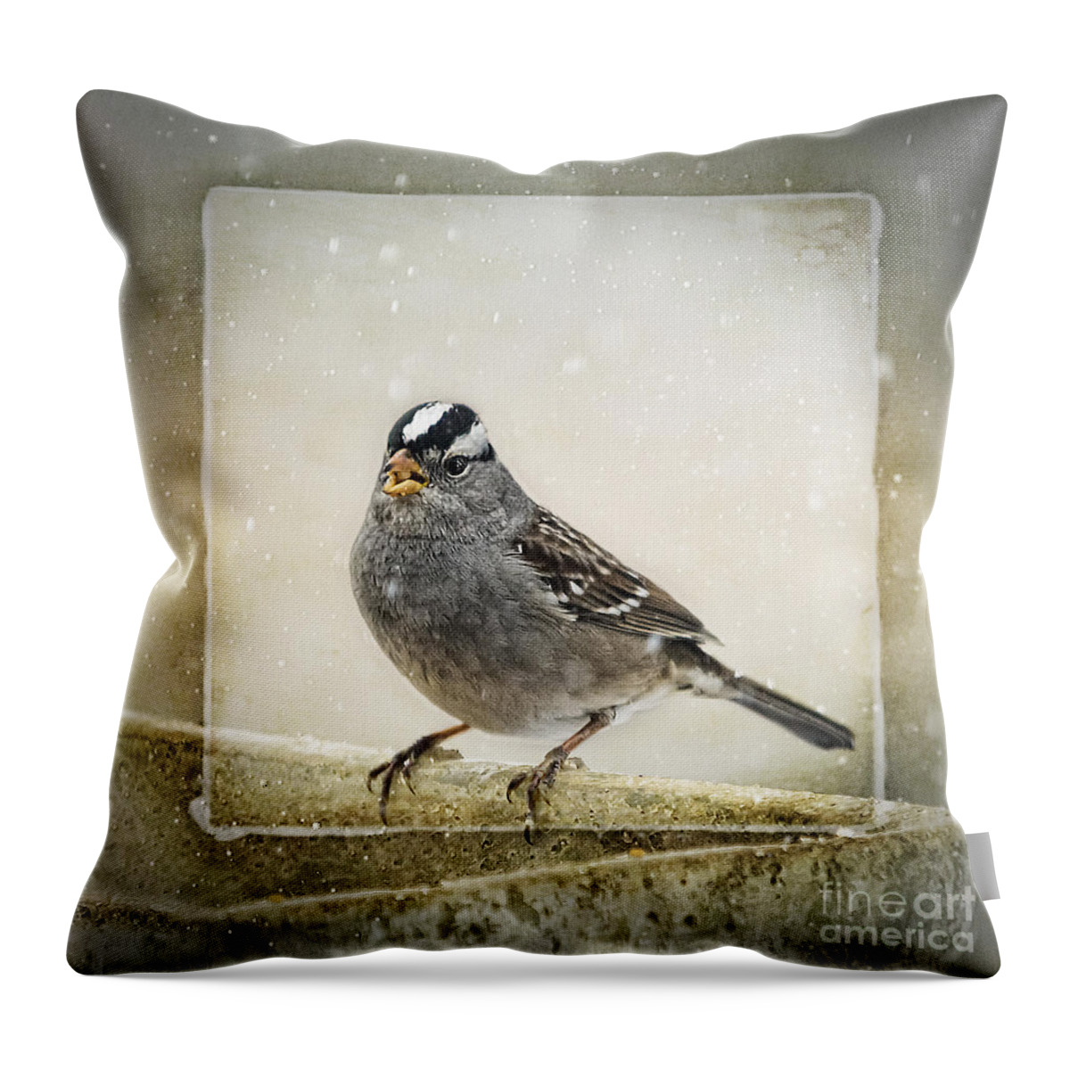 Sparrow Throw Pillow featuring the photograph White Crowned Sparrow in Snow Frame by Janice Pariza