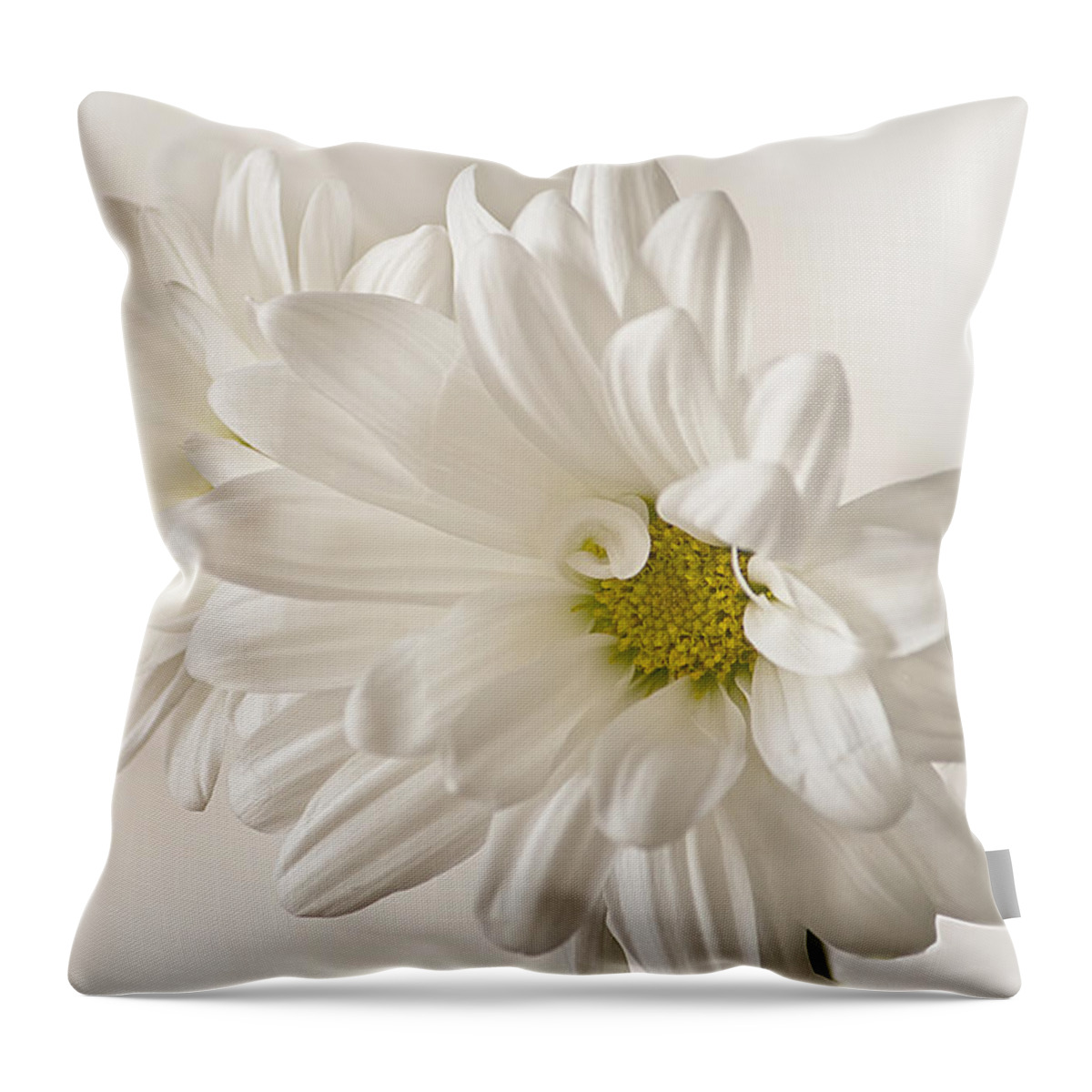 Daisy Throw Pillow featuring the photograph White Daisies by Cheryl Day