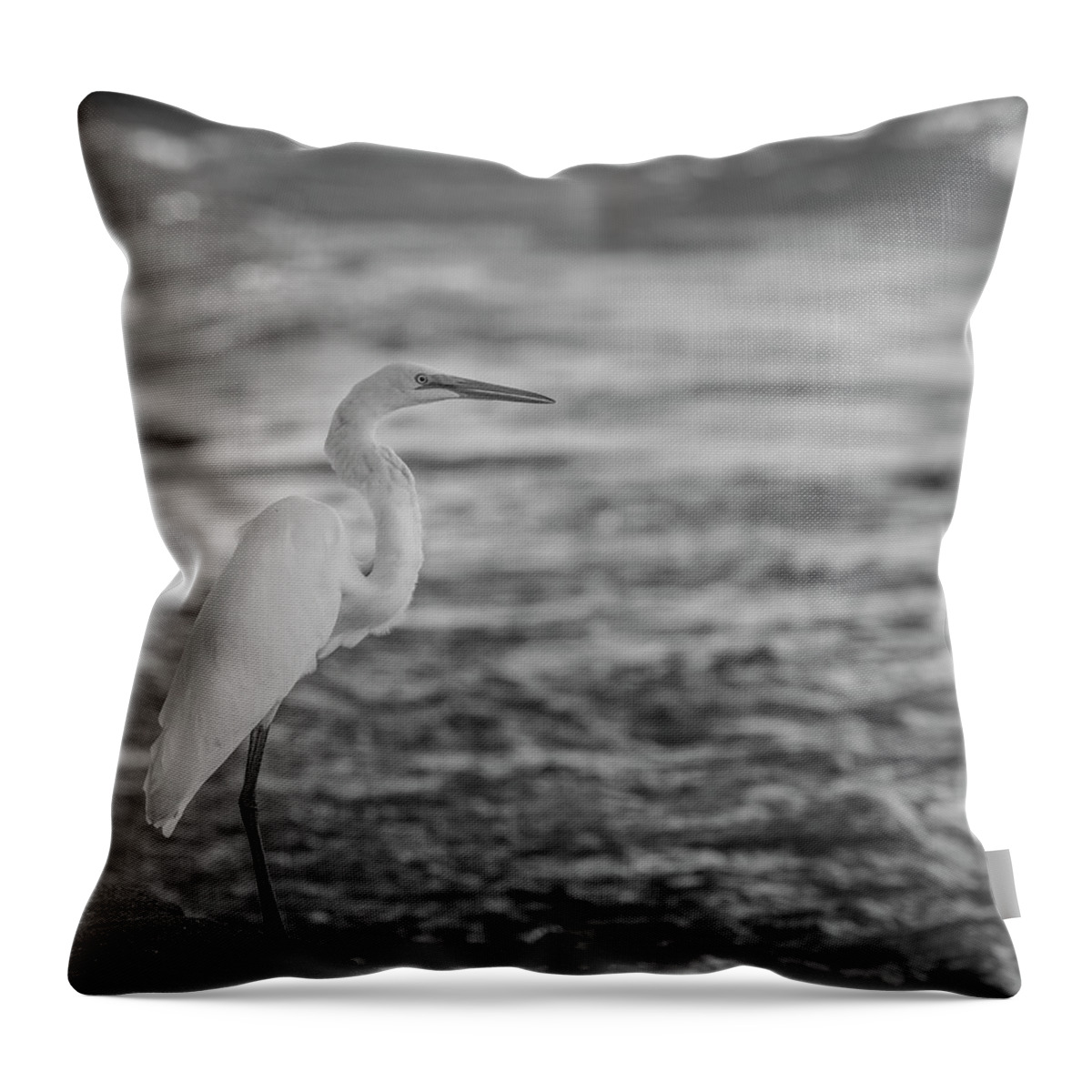 Great Egret Throw Pillow featuring the photograph White Egret 2016-3 by Thomas Young