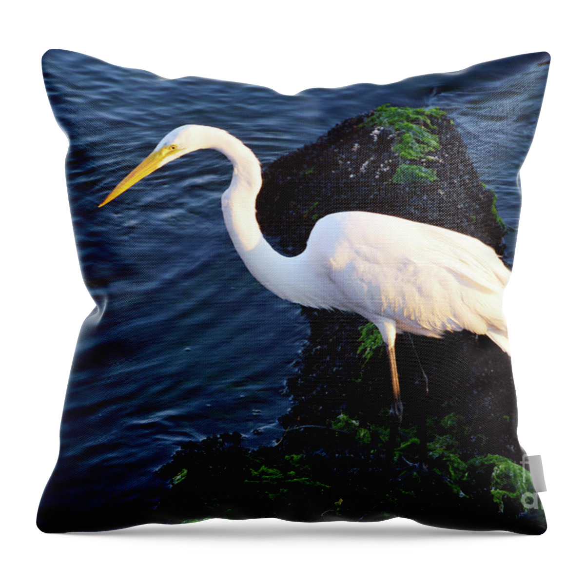 America Throw Pillow featuring the photograph White Egret At Sunrise - Barnegat Bay NJ by Robyn King