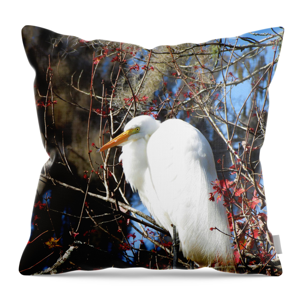 White Throw Pillow featuring the photograph White Egret Bird by Adrian De Leon Art and Photography