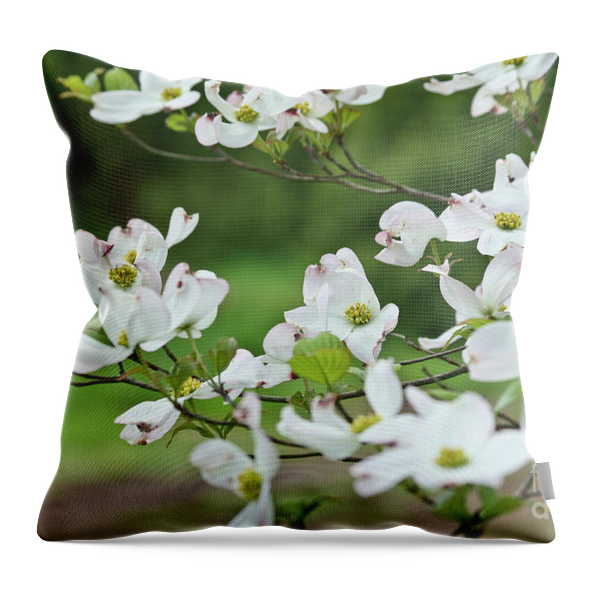 Gardens Throw Pillow featuring the photograph White Flowering Dogwood by Ann Murphy