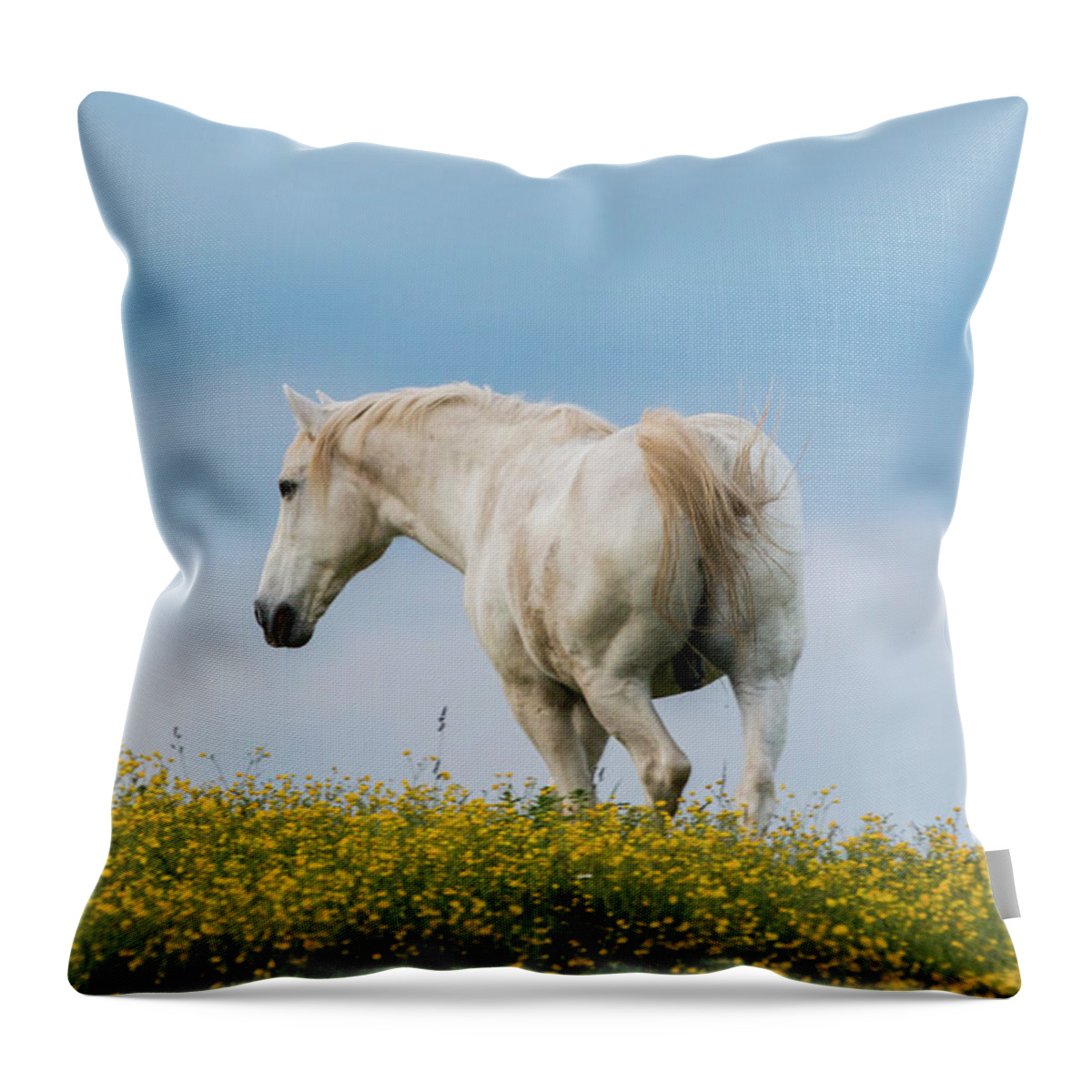 Horse Throw Pillow featuring the photograph White Horse of Cataloochee Ranch - May 30 2017 by D K Wall