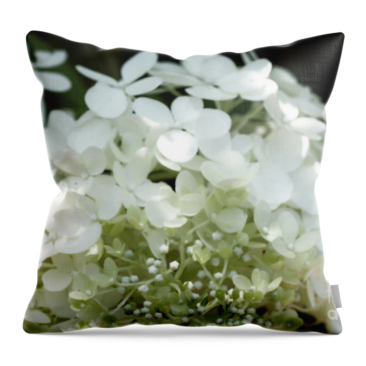  Floral Throw Pillow featuring the photograph White Hydrangea I by Mary Haber