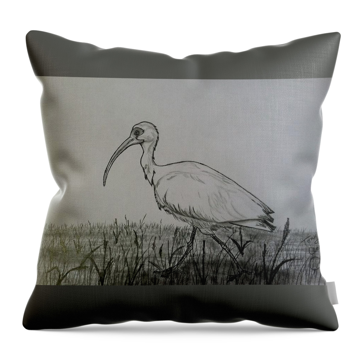 Bird Throw Pillow featuring the drawing White Ibis by Tony Clark