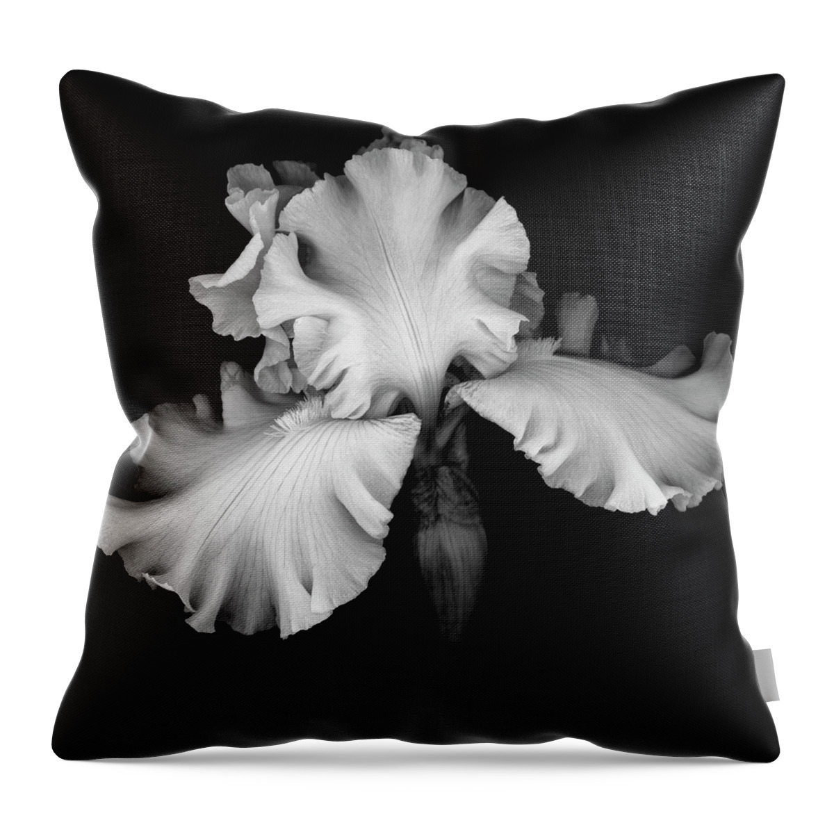 Black Throw Pillow featuring the photograph White Iris by Oscar Gutierrez