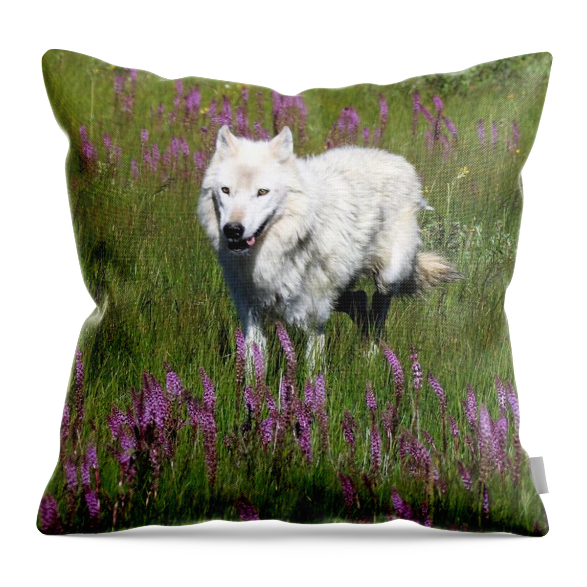 White Lady Throw Pillow featuring the photograph White Lady Lupines by Nicole Belvill