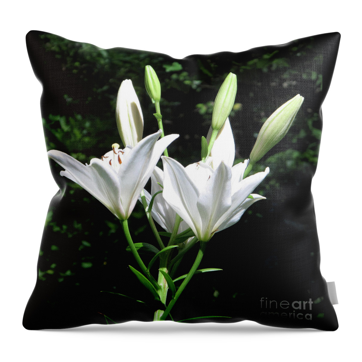 Lily Throw Pillow featuring the painting White Lilies, West Virginia by Sandy McIntire