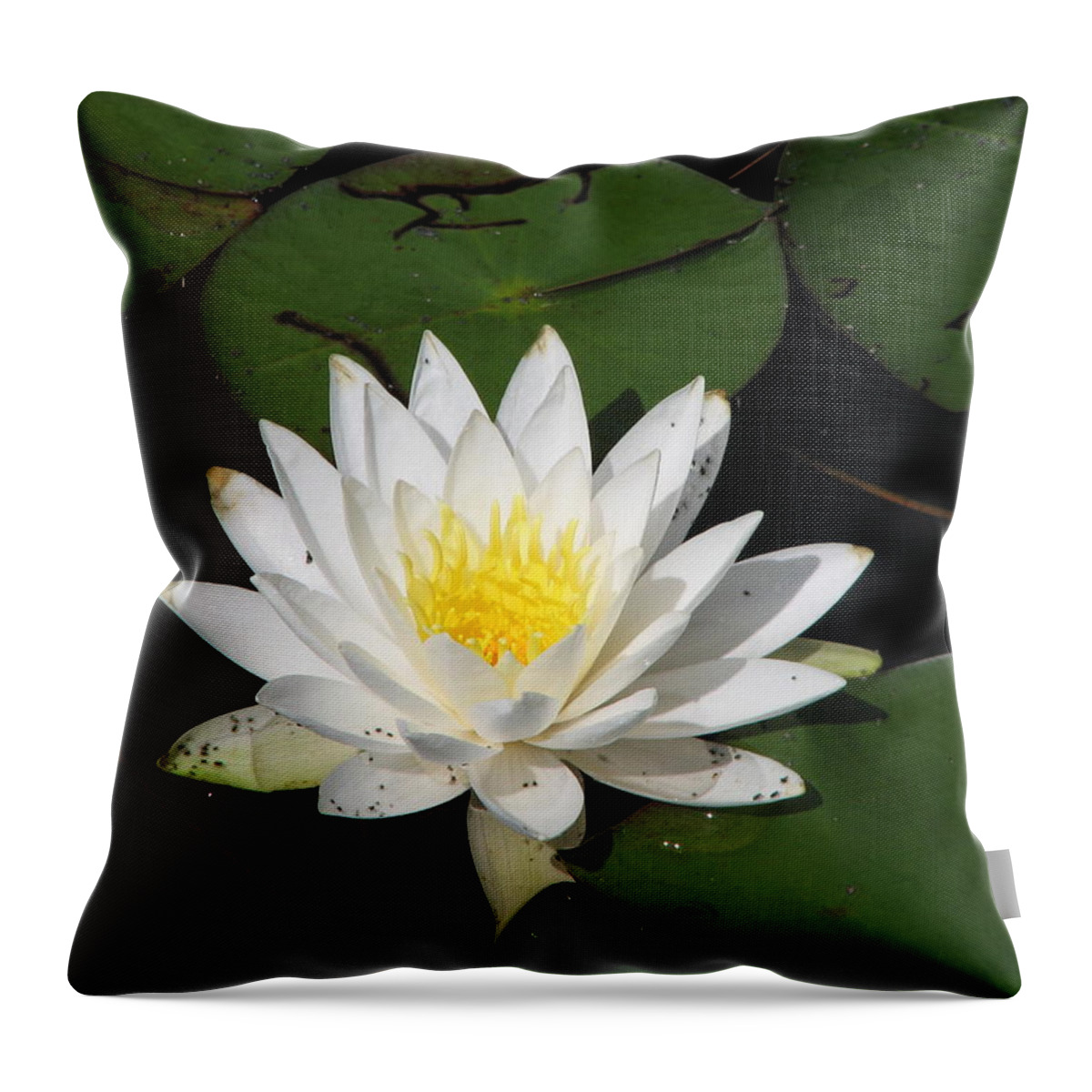 White Throw Pillow featuring the photograph White Lily Pad by Charlene Reinauer