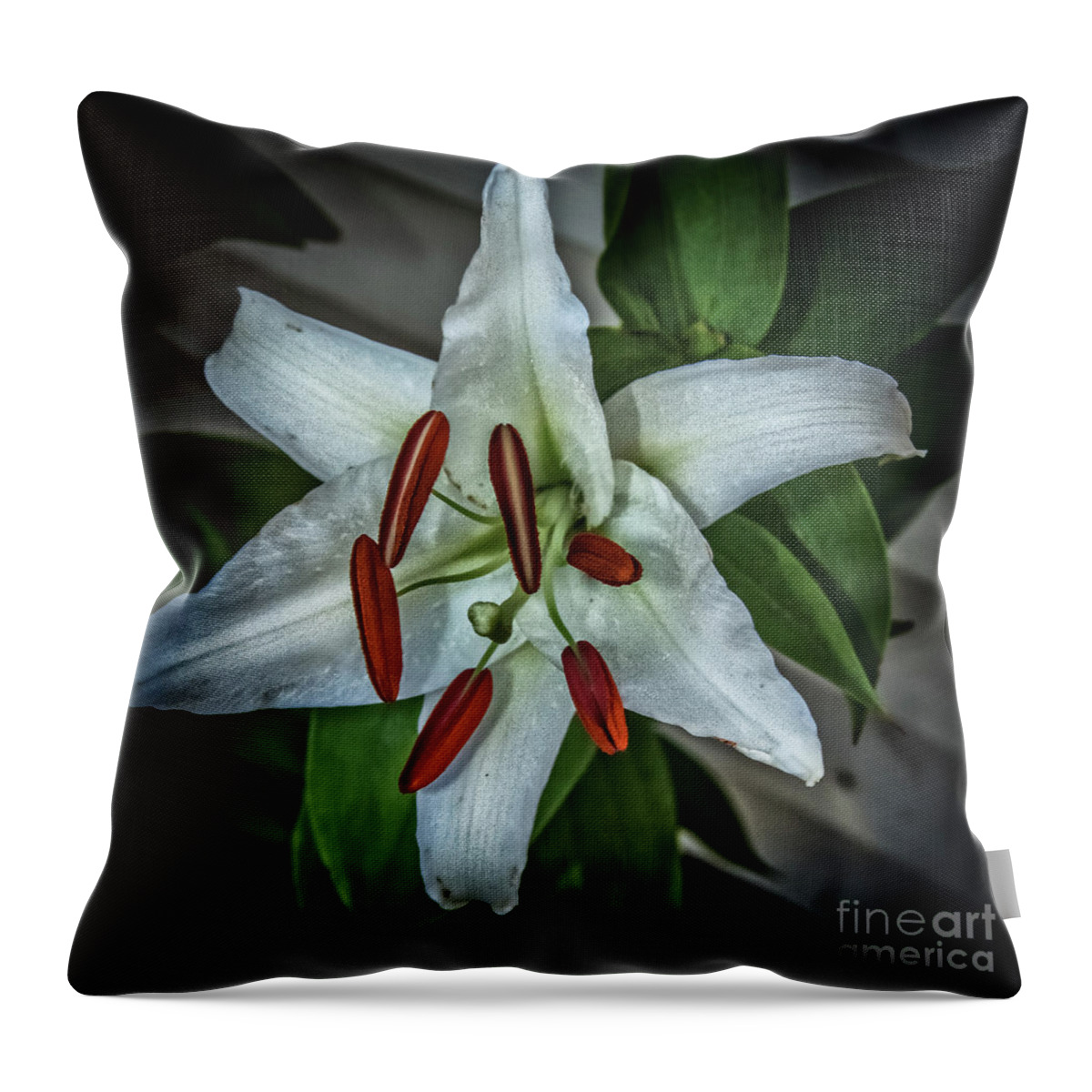 Isolated Throw Pillow featuring the photograph White Lily by Robert Bales