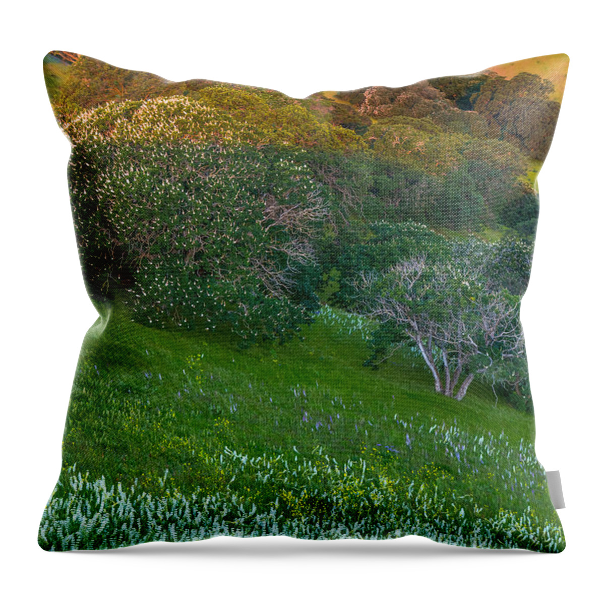 Landscape Throw Pillow featuring the photograph White Lupine and Buckeye by Marc Crumpler