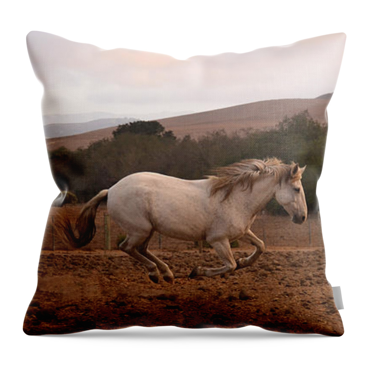 Rtf Ranch Throw Pillow featuring the photograph White Mare Gallops #1 - Panoramic Brighter by Heather Kirk