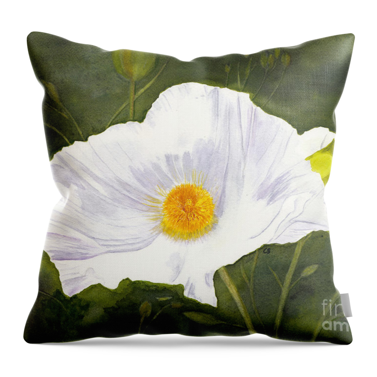 Poppy Throw Pillow featuring the painting White Matilija Poppy by Conni Schaftenaar