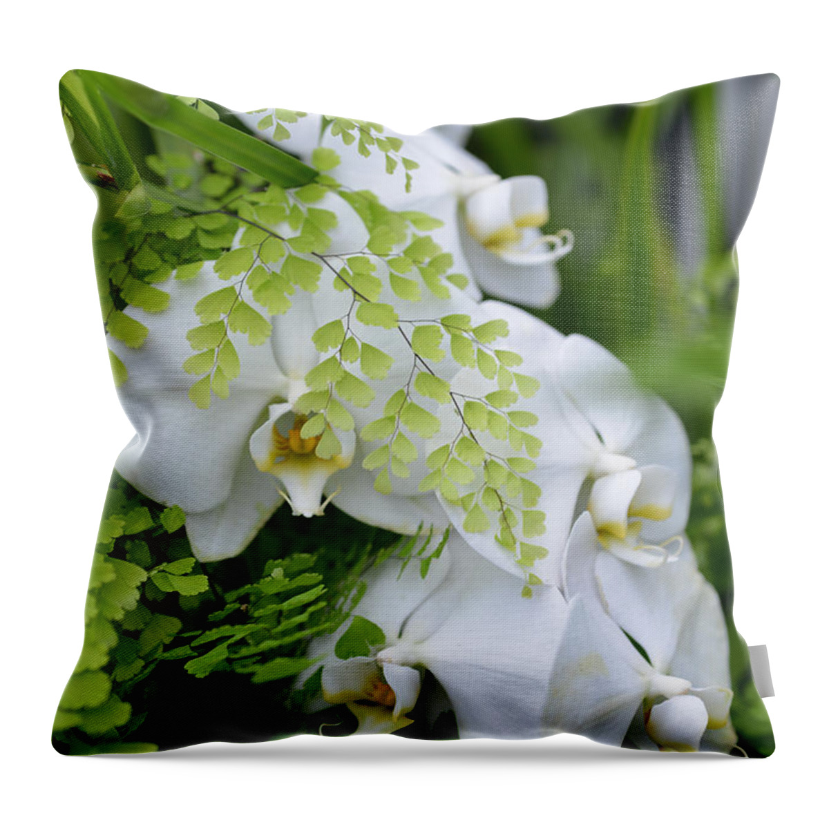 Ferns Throw Pillow featuring the photograph White Orchids by Ronda Broatch