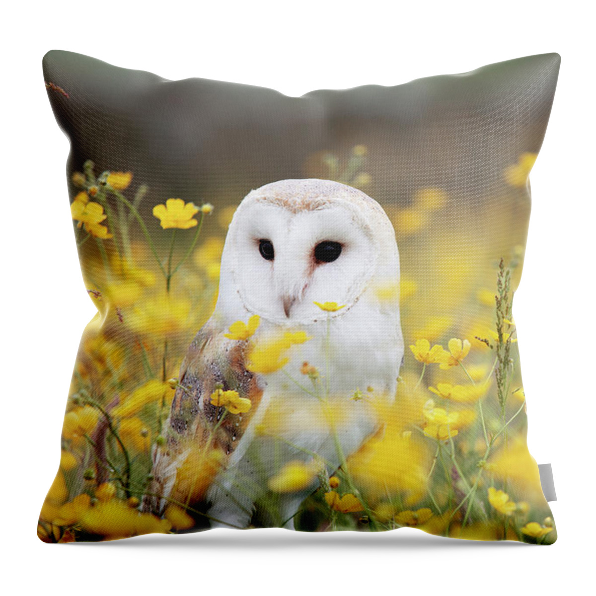 White Throw Pillow featuring the photograph White Owl by Happy Home Artistry