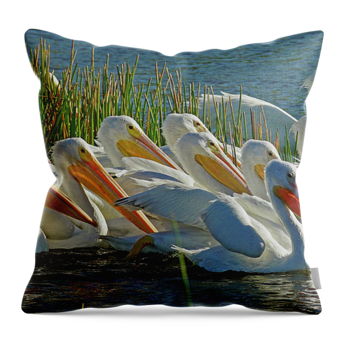 Pelican Throw Pillow featuring the photograph White Pelican Sun Party by Larry Nieland